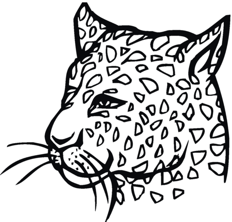 Cheetah 4 Coloring Page